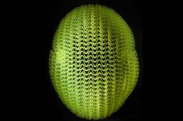 トレック 世界初、全く新しい衝撃吸収技術「WaveCel」搭載ヘルメットを発表