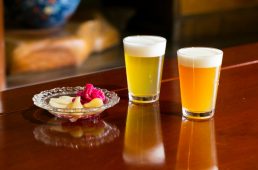 今治発 まだ見たことのない「瀬戸内しまなみ海道」へ！