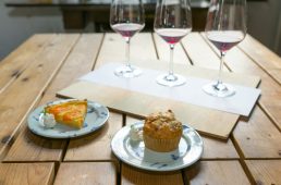 今治発 まだ見たことのない「瀬戸内しまなみ海道」へ！