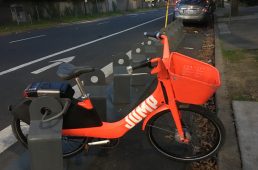 ケルビム・今野真一のNAHBS2019レポート