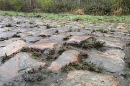 スペシャライズド・新生ルーベで本物のパヴェを走ってきた