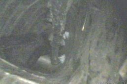 安井行生のロードバイク徹底評論第12回 スペシャライズド・ヴェンジ vol.9