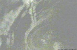 安井行生のロードバイク徹底評論第12回 スペシャライズド・ヴェンジ vol.9