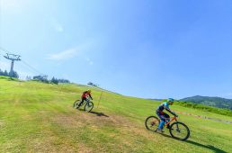 芝生だから怖くない! 新規オープン《アップMTBパークin神鍋》の走り心地