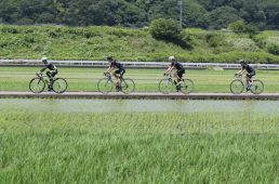 ロードバイク集団走行の基本とルール