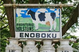 【埼玉県】パールイズミのPICCライドイベント vol.36 9/7開催