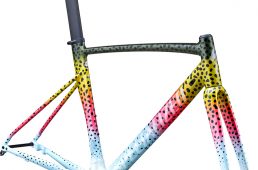 乗れる芸術品　スペシャライズド「アレーアーティストシリーズ」第3弾が登場