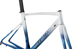 乗れる芸術品　スペシャライズド「アレーアーティストシリーズ」第3弾が登場