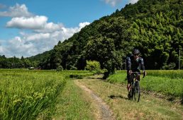 旧街道サイクリングの旅 vol.3　旧東海道をゆく