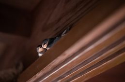 旧街道サイクリングの旅 vol.3　旧東海道をゆく