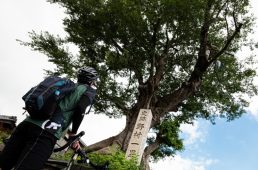 旧街道サイクリングの旅 vol.5