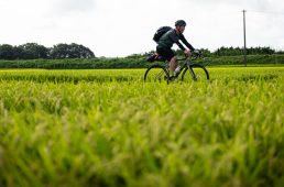 旧街道サイクリングの旅 vol.5