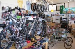 Green Laboratory グリーンラボラトリー