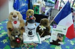 シクル・マーモット