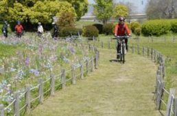 サイクルショップイワ井