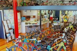 バイシクカラー奈良登美ケ丘店