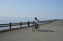 大阪にもあったんだ! 絶景続く岬一周コース