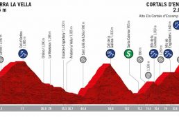 アンドラ山岳区間のブエルタ・ア・エスパーニャ2019第９ステージはポガチャルが区間初優勝／キンタナが総合首位