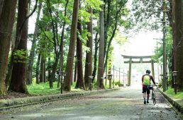 旧街道サイクリングの旅 vol.4　旧東海道をゆく
