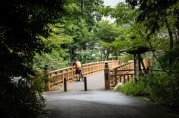 旧街道サイクリングの旅 vol.4　旧東海道をゆく