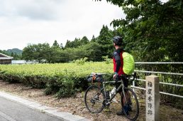 旧街道サイクリングの旅 vol.4　旧東海道をゆく