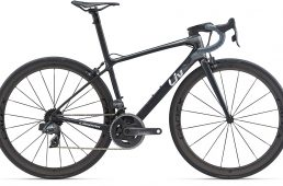 Liv2020モデルのウエブサイト公開