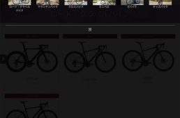 Liv2020モデルのウエブサイト公開