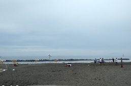 木更津トライアスロン