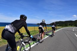 コルナゴライド2019