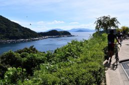 コルナゴライド2019