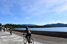 コルナゴライド2019