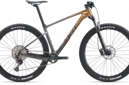 ジャイアント2020