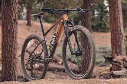 ジャイアント2020