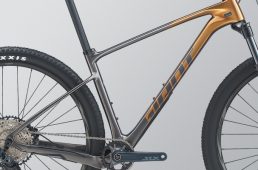 ジャイアント2020