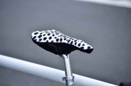 ライトウェイ・シェファード