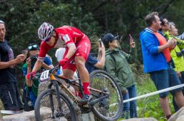 平林の天城越え後半