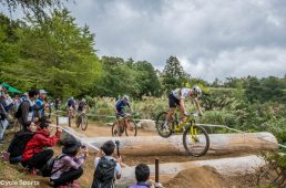 大きな丸太が2本並べられた「箸」