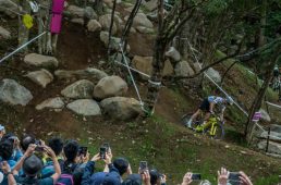 林の中に作られた岩場の下りセクション「枯山水」