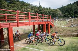 橋を使った交差、橋も日本的なイメージで映える