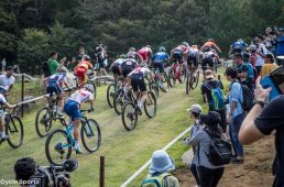 見たことのない走りに、これまで出したことのない声援で応える観客