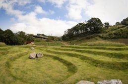 プレ五輪MTB日本