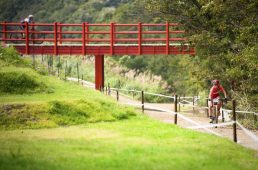 プレ五輪MTB日本