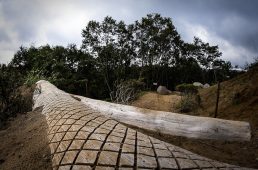 プレ五輪MTB日本