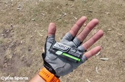 B2GCブリスベンゴールドコースト