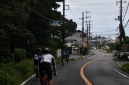 コルナゴライド伊豆半島