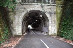 コルナゴライド伊豆半島