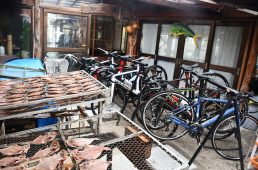 コルナゴライド伊豆半島