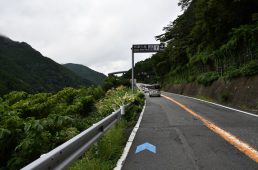 コルナゴライド伊豆半島