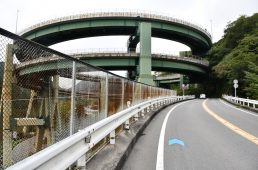 コルナゴライド伊豆半島