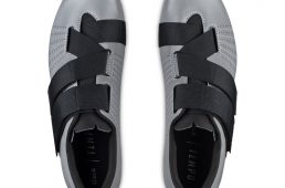 フィジーク・テンポR5